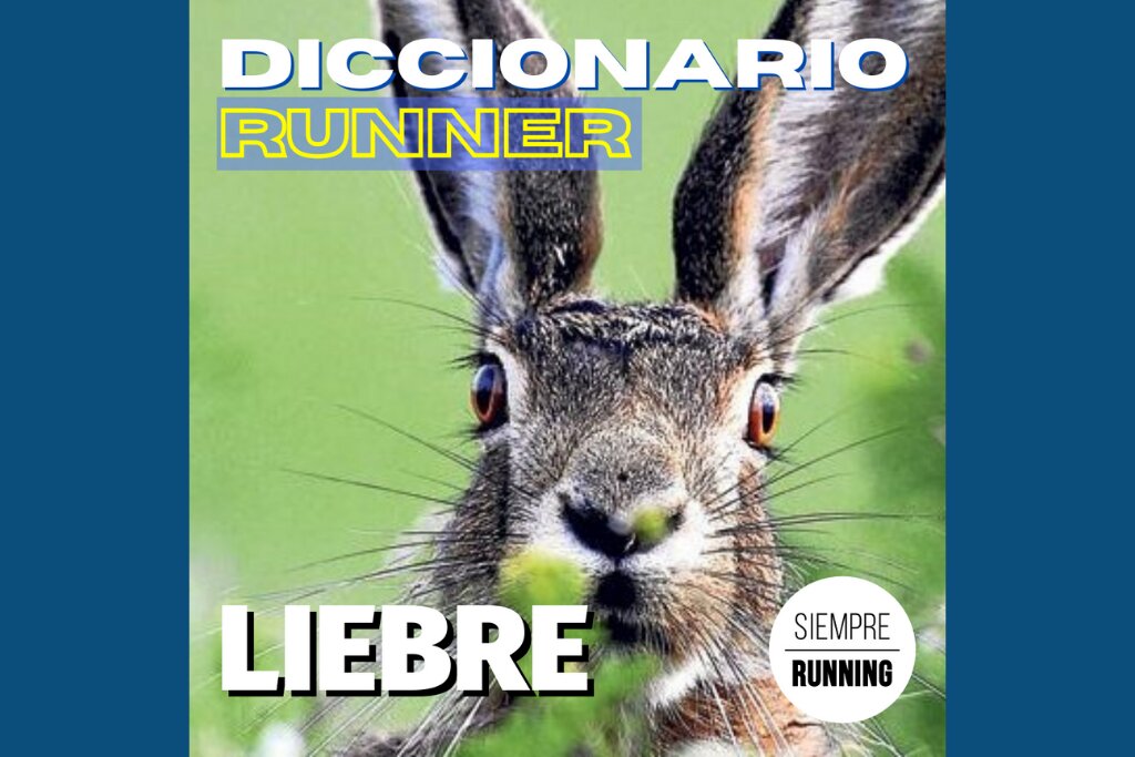 Pacer y Liebres