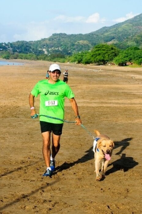 Panama Perros Carrera