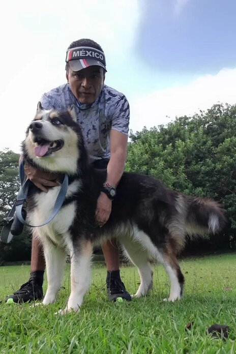 Perro Husky Panama