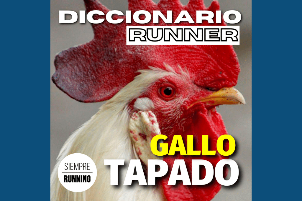 Gallo Tapado