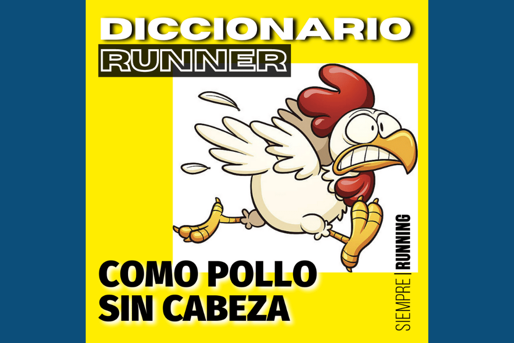 Introducir 60 Imagen Pollo Sin Cabeza Abzlocalmx 