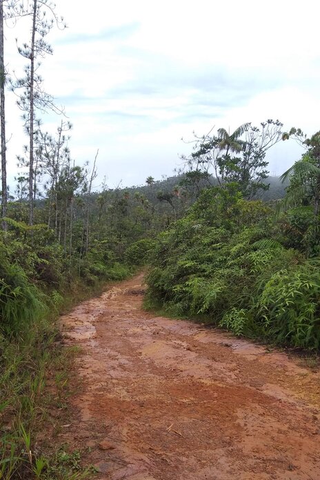 Cerro Azul Trail Challenge